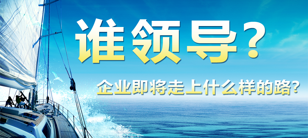 谁领导?企业即将走上什么样的路?