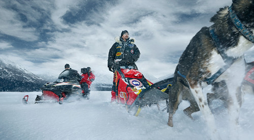 qƷCanada Goose