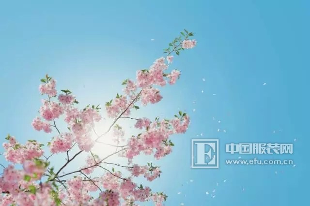 创创营销